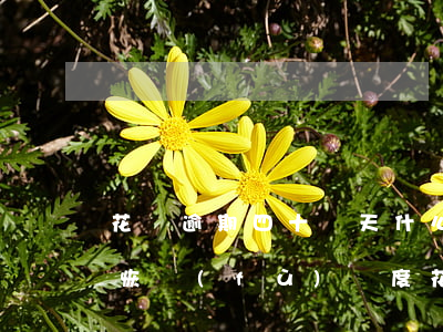 花唄逾期四十幾天,什么時(shí)候可以恢復(fù)額度，花唄逾期40天，何時(shí)能夠恢復(fù)額度？